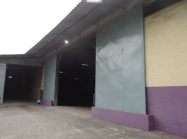 8 Bedroom Warehouse for rent in Samrong Klang, Phra Pradaeng, Samrong Klang