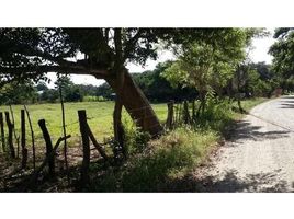  Land for sale in Guanacaste, Santa Cruz, Guanacaste