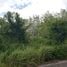 在Splash Jungle Water Park, 迈考出售的 土地, 迈考