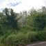  Land for sale in Phuket International Airport, Mai Khao, Mai Khao