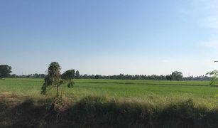 Земельный участок, N/A на продажу в Bang Phueng, Lop Buri 