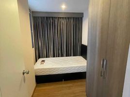 2 Schlafzimmer Wohnung zu verkaufen im The Tree Interchange, Bang Sue, Bang Sue