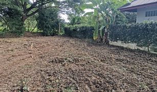 N/A Land for sale in Tha Wang Tan, Chiang Mai 