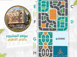 3 Bedroom Apartment for sale at Bait Al Watan Al Takmely, Northern Expansions