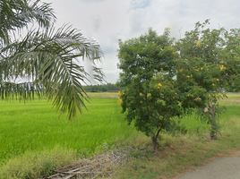  Land for sale in Pathum Thani, Lam Luk Ka, Lam Luk Ka, Pathum Thani