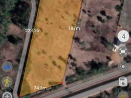  Land for sale in Sakon Nakhon, Khamin, Mueang Sakon Nakhon, Sakon Nakhon