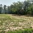  Land for sale in Sawai, Prang Ku, Sawai