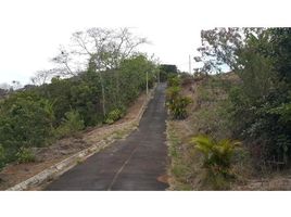  Land for sale in Alajuela, Naranjo, Alajuela