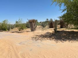  Land for sale at Al Ajban, EMAAR South