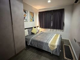 2 Bedroom Apartment for rent at B Campus, Bang Khen, Mueang Nonthaburi