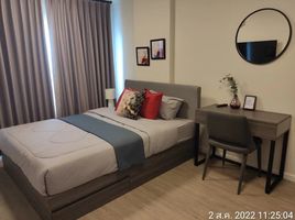 1 Schlafzimmer Wohnung zu verkaufen im Dcondo Rin, Fa Ham, Mueang Chiang Mai, Chiang Mai