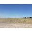  Land for sale in Patagones, Buenos Aires, Patagones