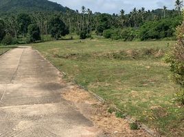  Land for sale in Maenam, Koh Samui, Maenam