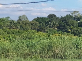  Grundstück zu verkaufen in Mueang Lamphun, Lamphun, Mueang Nga