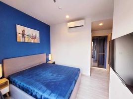 1 Schlafzimmer Appartement zu verkaufen im XT Ekkamai, Khlong Tan Nuea, Watthana