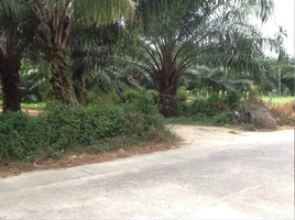  Land for sale in Phangnga, Na Toei, Thai Mueang, Phangnga