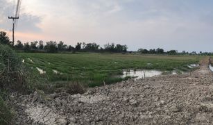 N/A Land for sale in Nong Lum, Phichit 