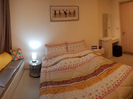 1 Schlafzimmer Appartement zu vermieten im Rhythm Sukhumvit 42, Phra Khanong