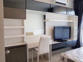 1 Schlafzimmer Appartement zu vermieten im Life Sukhumvit 48, Phra Khanong, Khlong Toei