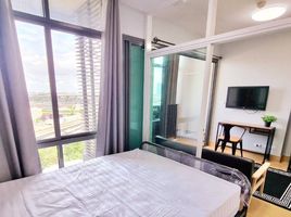 1 Schlafzimmer Wohnung zu verkaufen im Ideo Blucove Sukhumvit, Bang Na