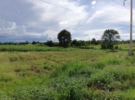  Grundstück zu verkaufen in Sikhio, Nakhon Ratchasima, Kritsana