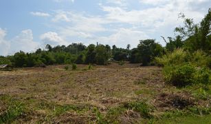 N/A Land for sale in Tha Khao Plueak, Chiang Rai 