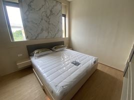 4 Schlafzimmer Haus zu vermieten im Eigen Rama 9, Prawet