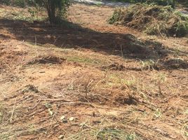  Land for sale in Phuket, Mai Khao, Thalang, Phuket