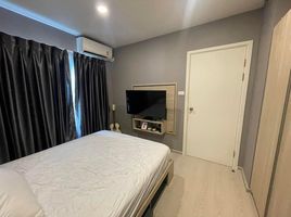 1 Schlafzimmer Appartement zu vermieten im Phyll Phahol 34, Sena Nikhom