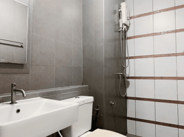 1 Bedroom Condo for rent at Dcondo Campus Resort Rangsit, Khlong Nueng, Khlong Luang, Pathum Thani