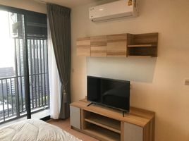 1 Schlafzimmer Wohnung zu verkaufen im Maru Ekkamai 2, Khlong Tan Nuea