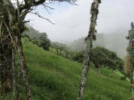  Grundstück zu verkaufen in Alfaro Ruiz, Alajuela, Alfaro Ruiz