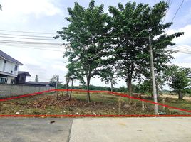  Land for sale in Chiang Mai, San Kamphaeng, San Kamphaeng, Chiang Mai