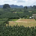 Prime Land for Sale in Nong Thale Krabi