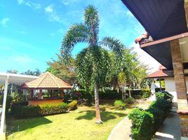 1 Schlafzimmer Haus zu vermieten im Airport Villa, Sakhu, Thalang