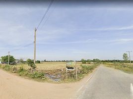  Land for sale in Si Narong, Chumphon Buri, Si Narong