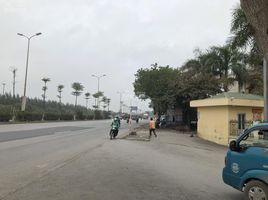 4 Schlafzimmer Haus zu verkaufen in Long Bien, Hanoi, Phuc Dong