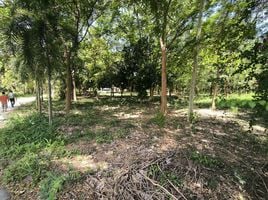  Land for sale in Nong Ya, Kanchanaburi, Nong Ya, Mueang Kanchanaburi, Kanchanaburi