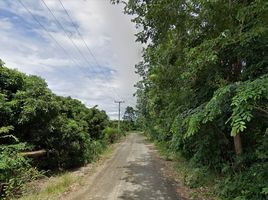  Land for sale in Doi Tao, Chiang Mai, Tha Duea, Doi Tao