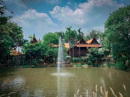 4 Schlafzimmer Villa zu verkaufen in Nakhon Chai Si, Nakhon Pathom, Ngio Rai, Nakhon Chai Si, Nakhon Pathom