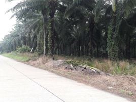  Land for sale in Lamae, Chumphon, Thung Luang, Lamae