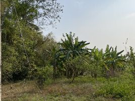  Land for sale in Hua Hin, Huai Sat Yai, Hua Hin