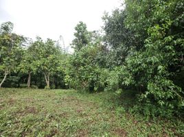  Land for sale in Pong Nam Ron, Chanthaburi, Pong Nam Ron, Pong Nam Ron