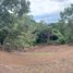  Land for sale in Mora, San Jose, Mora