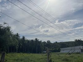  Land for sale in Phangnga, Ko Yao Yai, Ko Yao, Phangnga