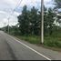  Land for sale in Pa Sang, Lamphun, Nakhon Chedi, Pa Sang