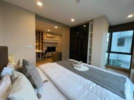 1 Bedroom Condo for rent at The Ace Ekamai , Khlong Tan Nuea