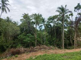  Land for sale at Emerald Bay View, Maret, Koh Samui, Surat Thani