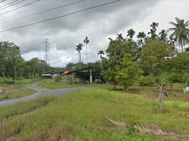  Grundstück zu verkaufen in Thung Song, Nakhon Si Thammarat, Thi Wang, Thung Song