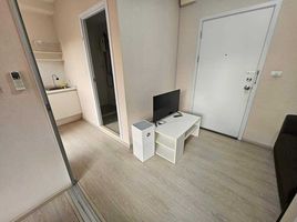 Studio Wohnung zu vermieten im Plum Condo Park Rangsit, Khlong Nueng